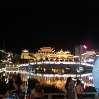 打不死的小强qin头像