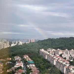 王小源头像
