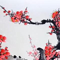 优雅梅花001头像