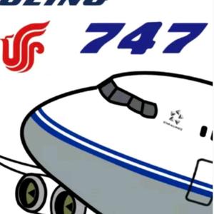 从某航空公司跑出来的波音747 头像