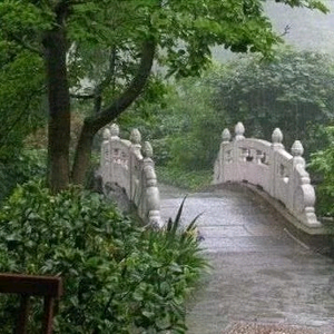 静夜思雨8821头像