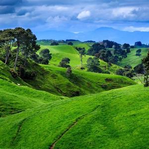 小赵子写字头像