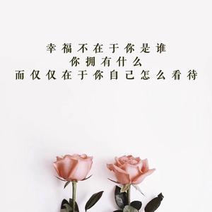 不锈钢过滤网席型网不锈钢丝-云松头像