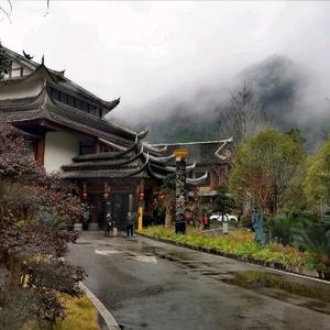 美食记录领域头像
