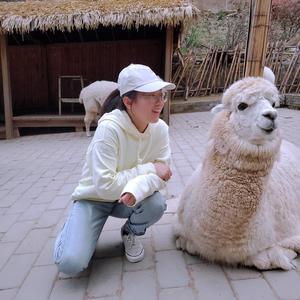 小凤的小娜姐姐头像