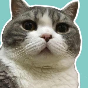 番茄3712420586195391头像