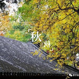 多才松鼠d头像