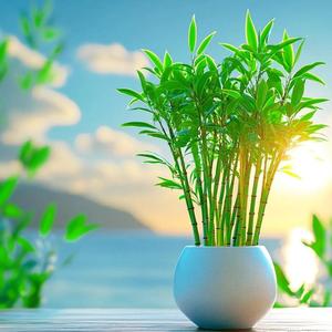 畅药行头像