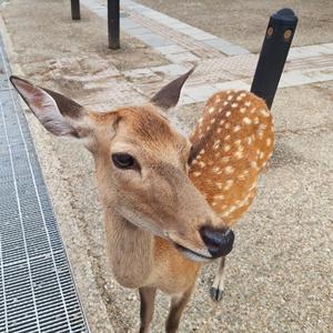小茗分享头像