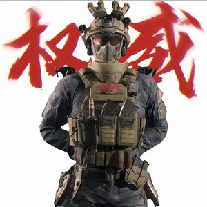 威龙长官头像