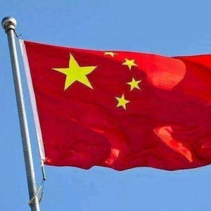 爱我中华头像