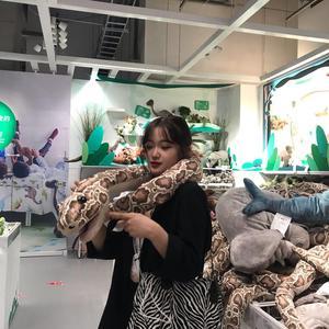 子龙说世界头像