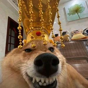 肥不到从前头像