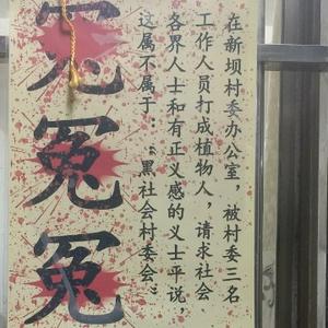 芶勇兵头像