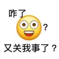 智者河池4l2头像