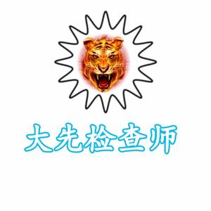 大先检查师头像