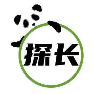 熊猫探长头像