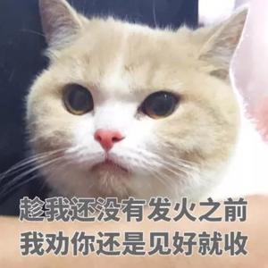 莫小方的西瓜号头像