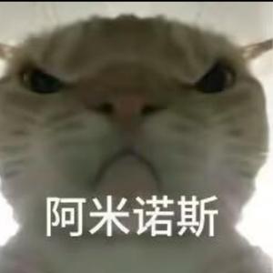 猫猫大队头像