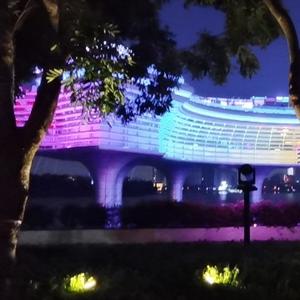 唔得翻顺德头像