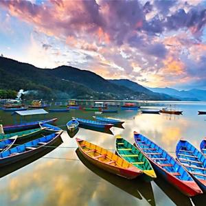 罗伊的世界之旅 头像