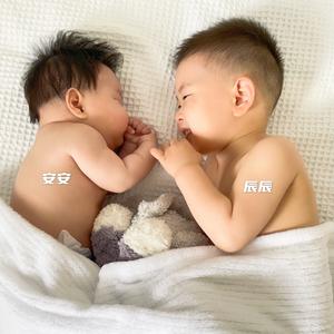 辰辰哥安安弟头像