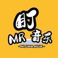 MR町音乐头像