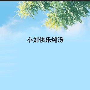 小刘快乐4Y0G头像