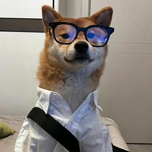 直率四爷w头像