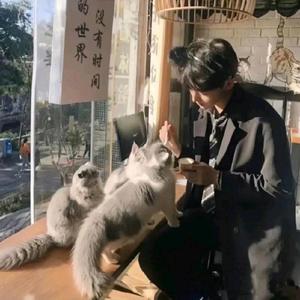 顾梦头像