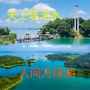 飞越万绿湖头像