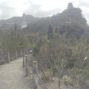 做阳光房的柳师傅头像