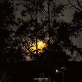 带你看老外4C2l头像