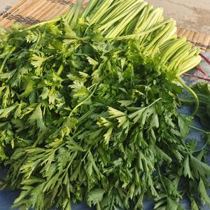 沧州胖娃头像