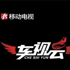 地铁车视云头像