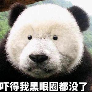 吓得我黑眼圈都没了头像