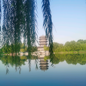小山东建哥头像