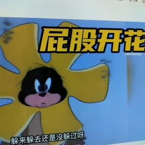 猪猪动漫社头像