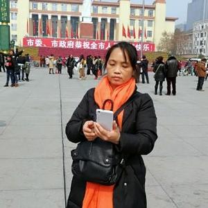 秋天里的红枣树头像