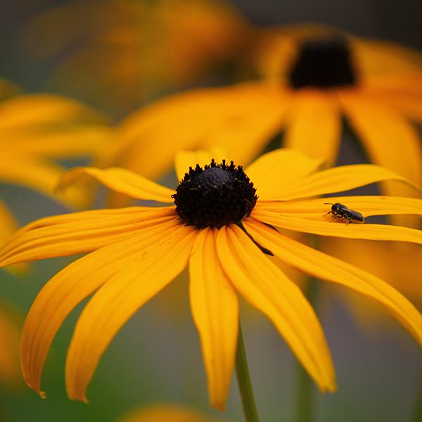 伟强74041021头像