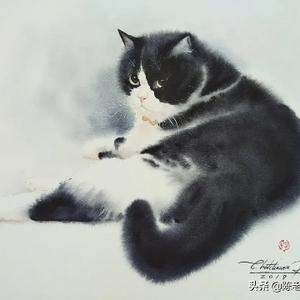丁冬开讲头像
