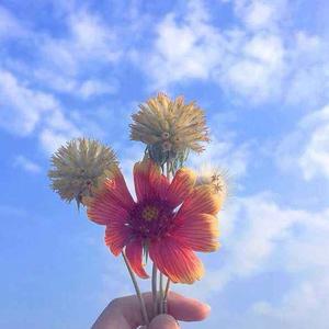 丽丽头像