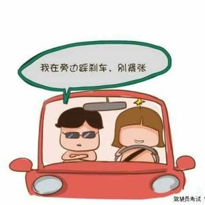 专业带科目三的陈教练头像