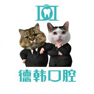 德韩打工猫日记头像