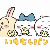 是因为你还不够努力头像