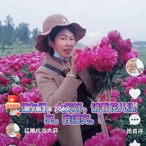 689农村红娘代收大蒜直销牡丹讲实话头像