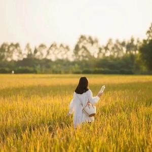 安若水头像