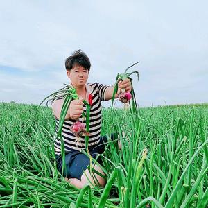 王荣乡野小农民头像
