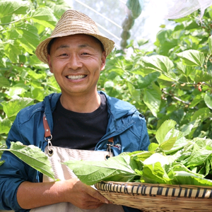 任庄主·快乐农庄头像
