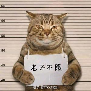 未来2J0G头像
